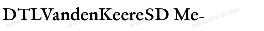 DTLVandenKeereSD Me字体转换